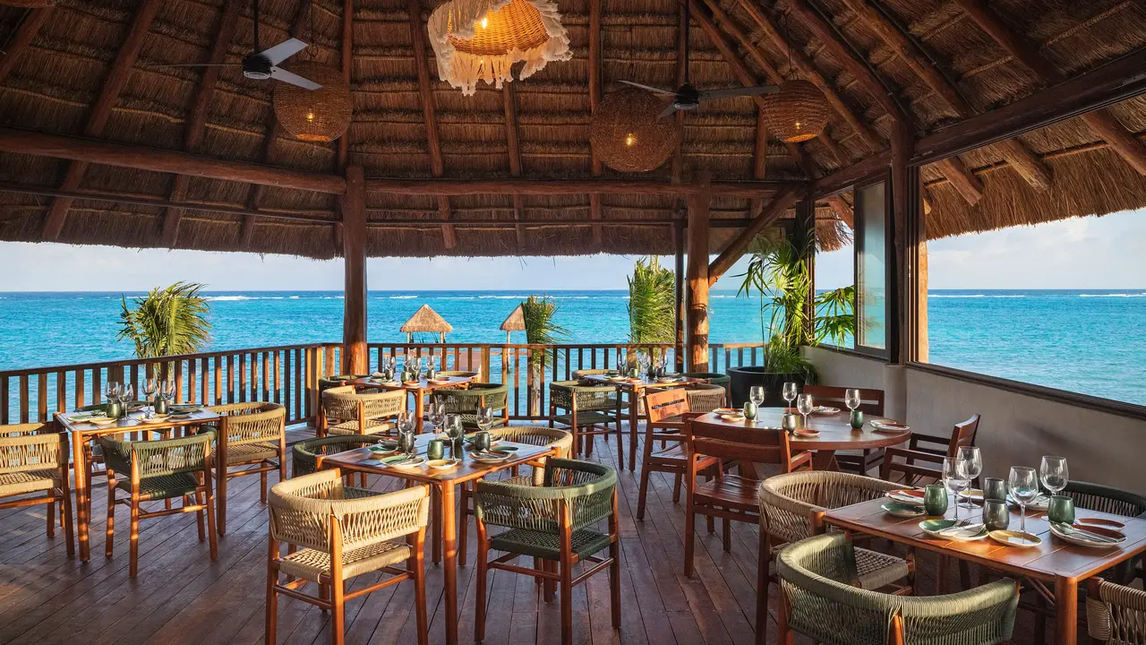 Umbal，ROOTulum