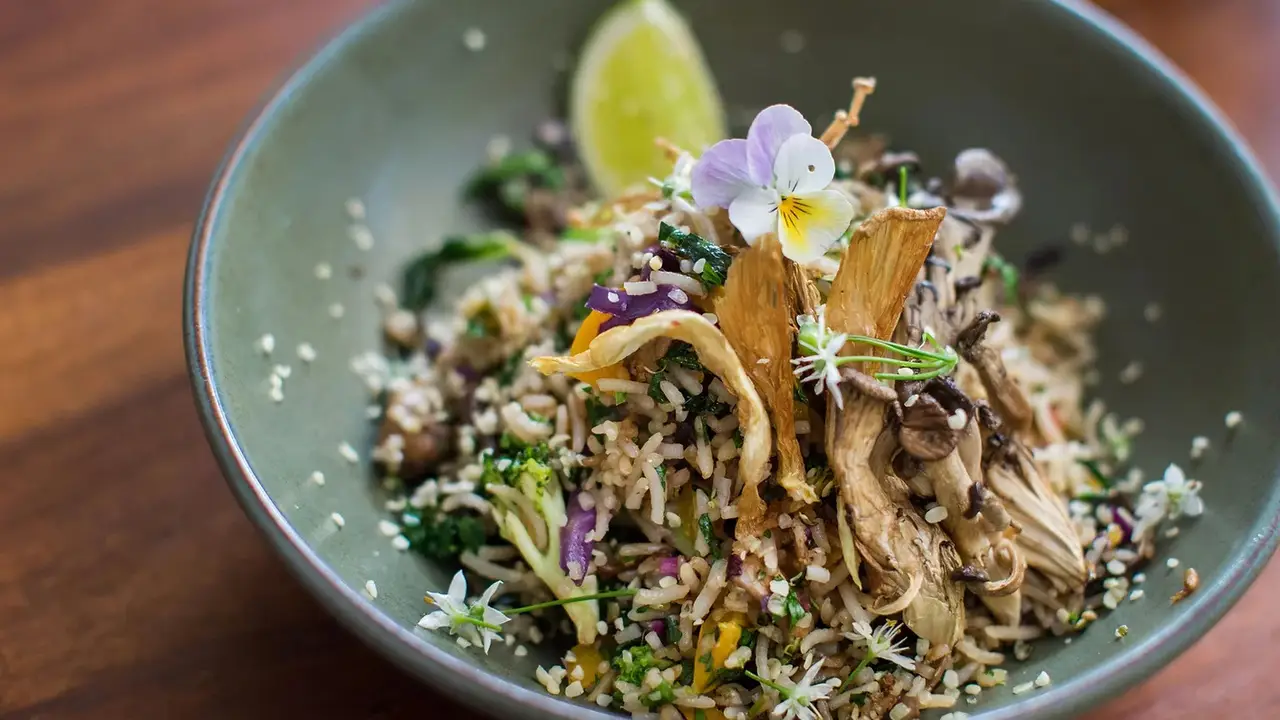 OCA Organic Cuisine & Arts, Byron Bay, AU-NSW