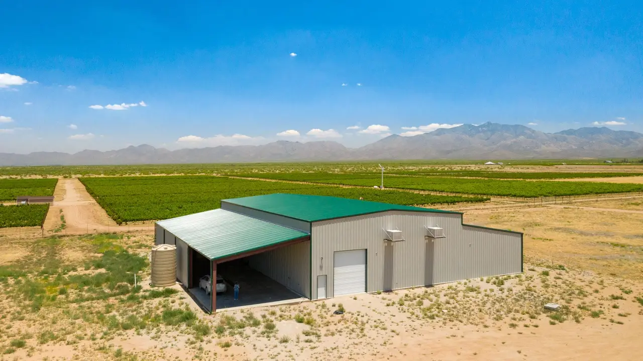 Carlson Creek Vineyard - Robbs Road, Willcox, AZ