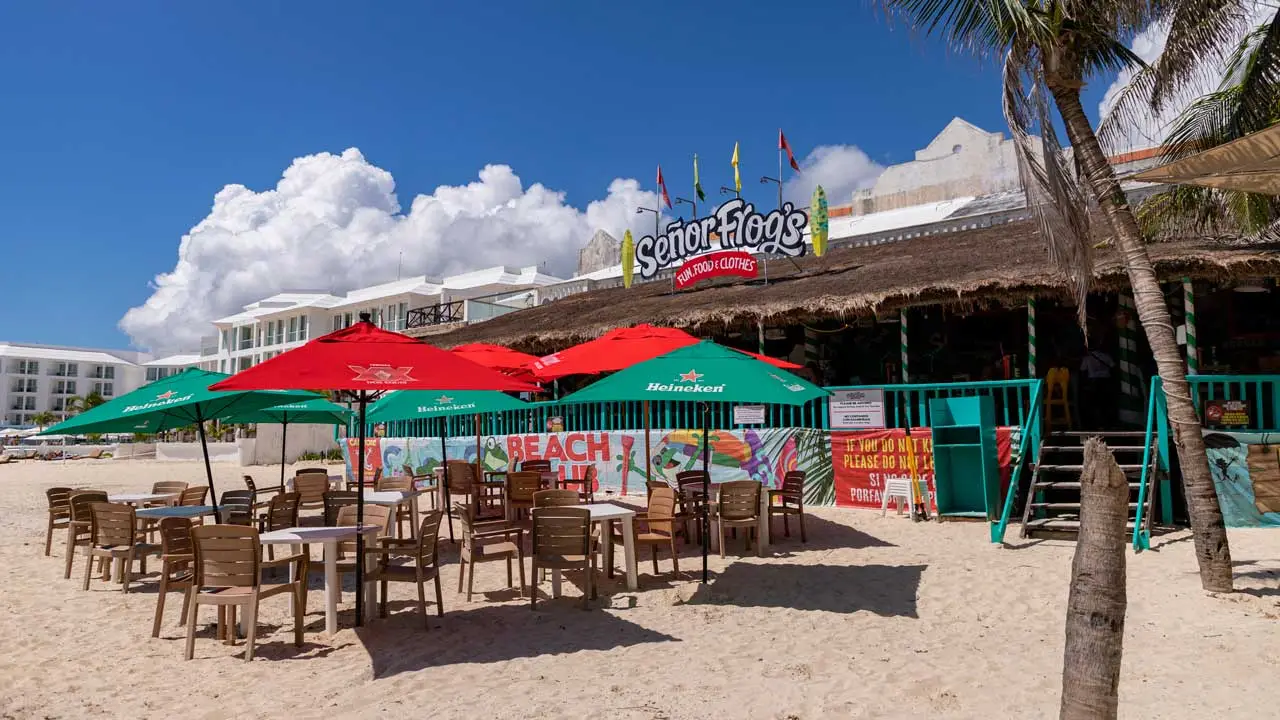Frogs Playa - Señor Frog´s - Playa del Carmen Muelle, Playa del Carmen, ROO