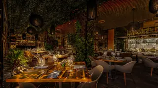 Una foto del restaurante Porfirio's Merida