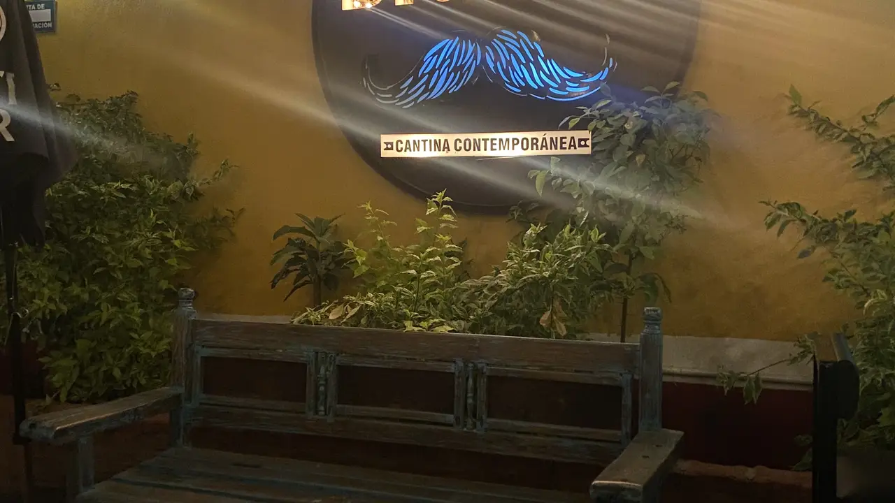 Bigote Parras - Cantina Contemporánea, Parras de la Fuente, COA