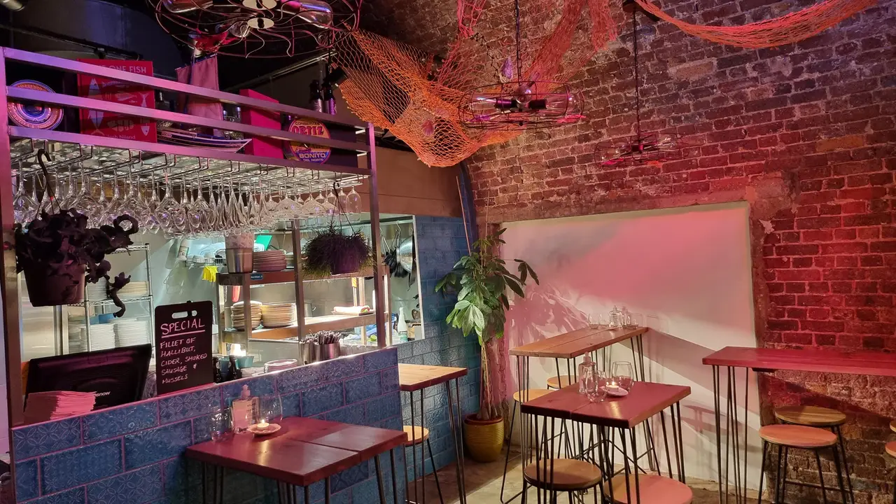 Sharkbait & Swim, London, Greater London