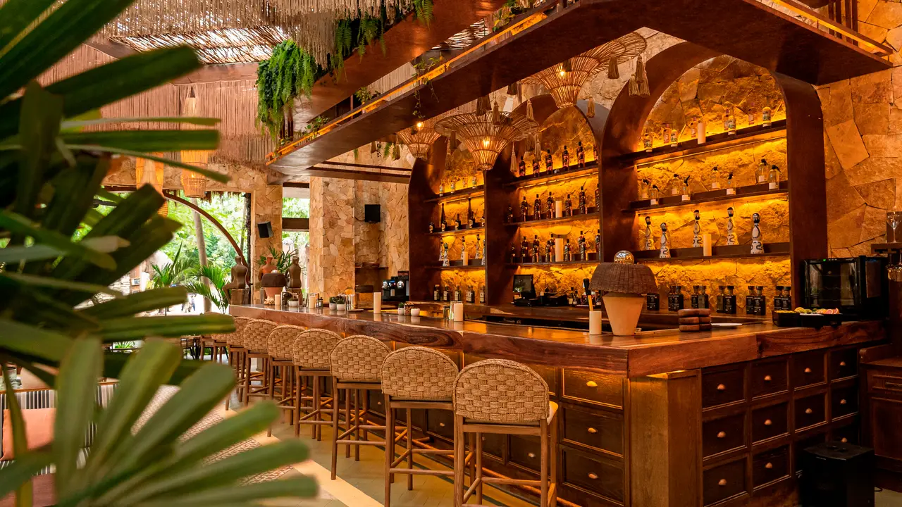 Macario, el mejor restaurante mexicano en Tulum - Macario, Tulum, ROO