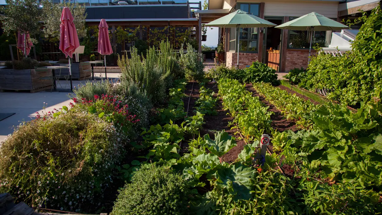 acre farm & eatery - Melbourne, Burwood East, AU-VIC