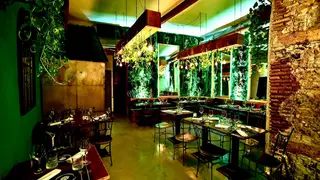 Une photo du restaurant CLOROFILLA CUCINA E DISTILLATI