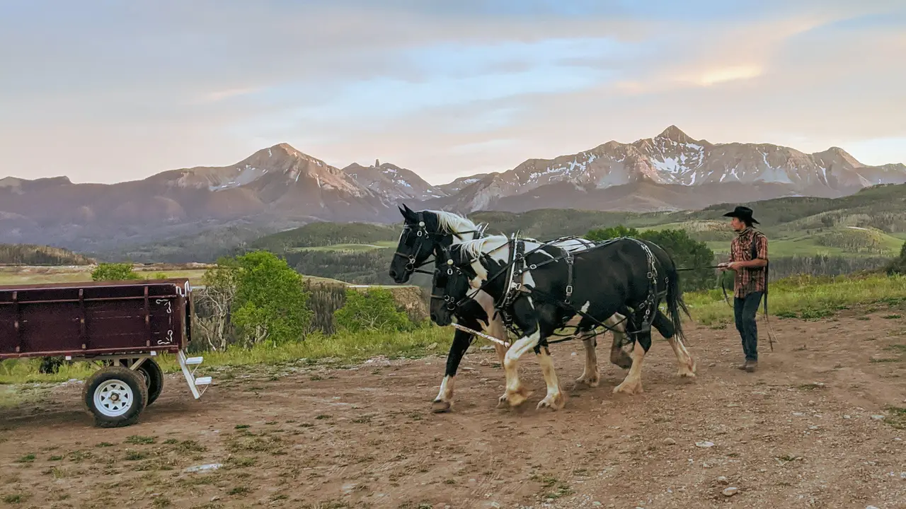 Telluride Sleighs and Wagons, Telluride, CO