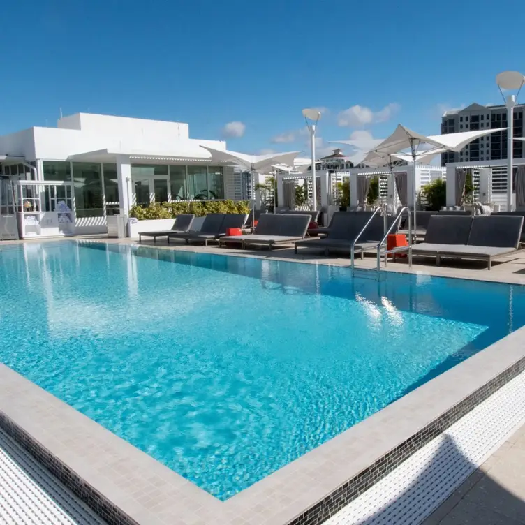 Perspective Rooftop Pool Bar, Sarasota, FL