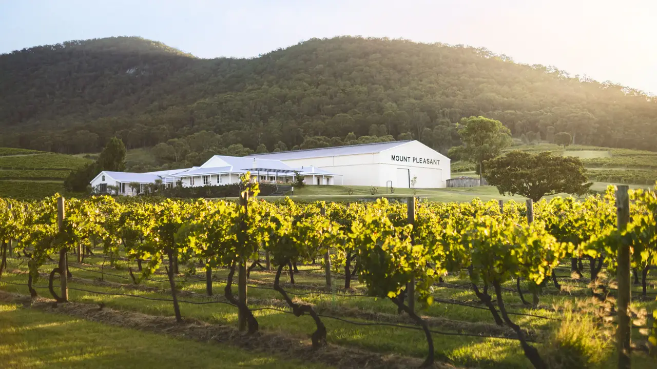 Mount Pleasant Wines, Pokolbin, AU-NSW