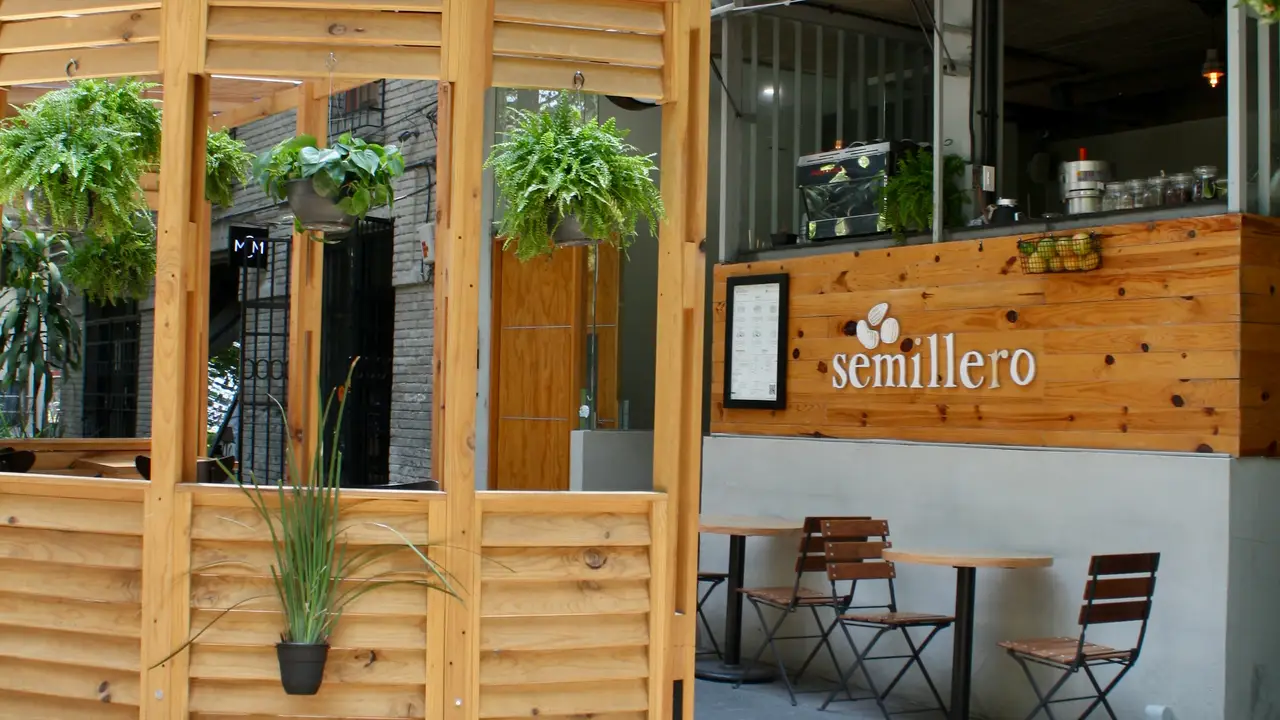 Semillero, Ciudad de México, CDMX