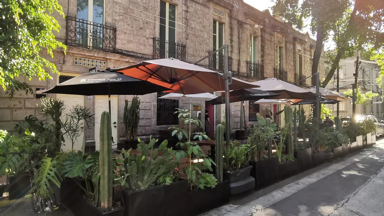 Madereros, Ciudad de México, CDMX