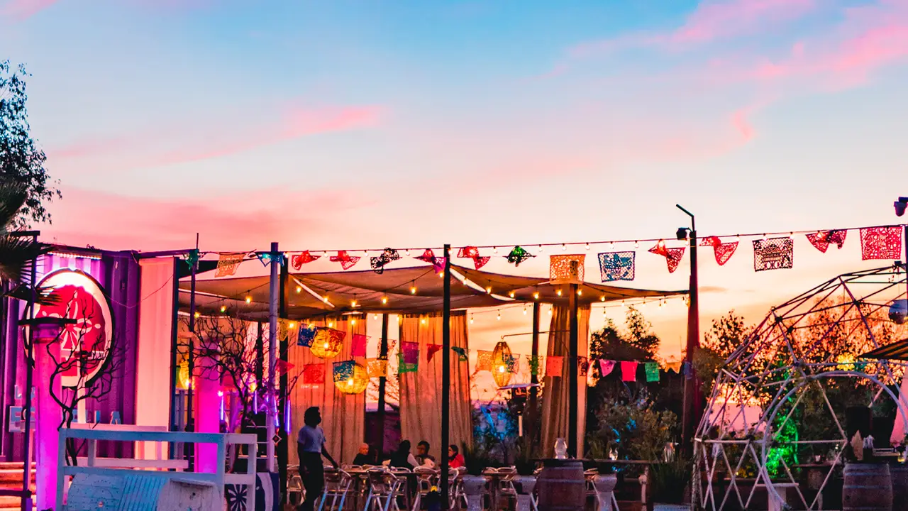 Eclectic summer afternoons - Eclectico Guadalupe, Ensenada, BCN
