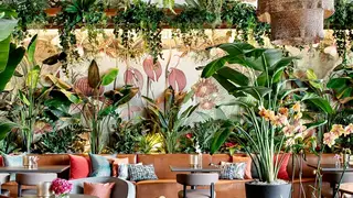 Foto von Mamey Miami Restaurant