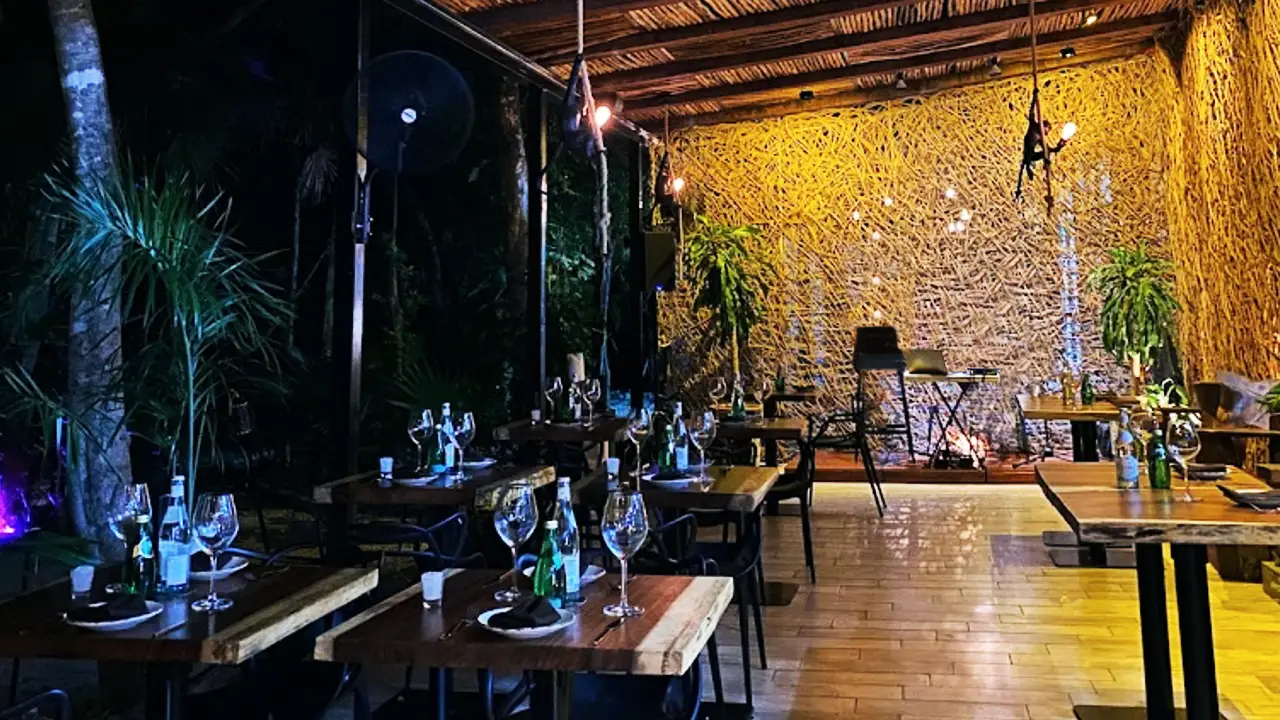 Jungle GastroBar - Jungle GastroBar, Playa del Carmen, ROO