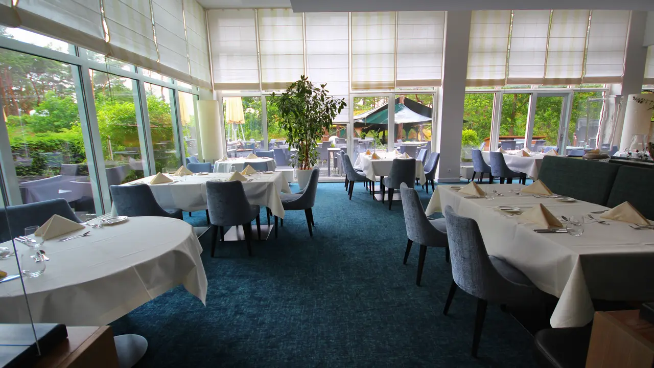 Frisch, regional, á la carte, Menü - Marktplatzrestaurant, Dierhagen, MV