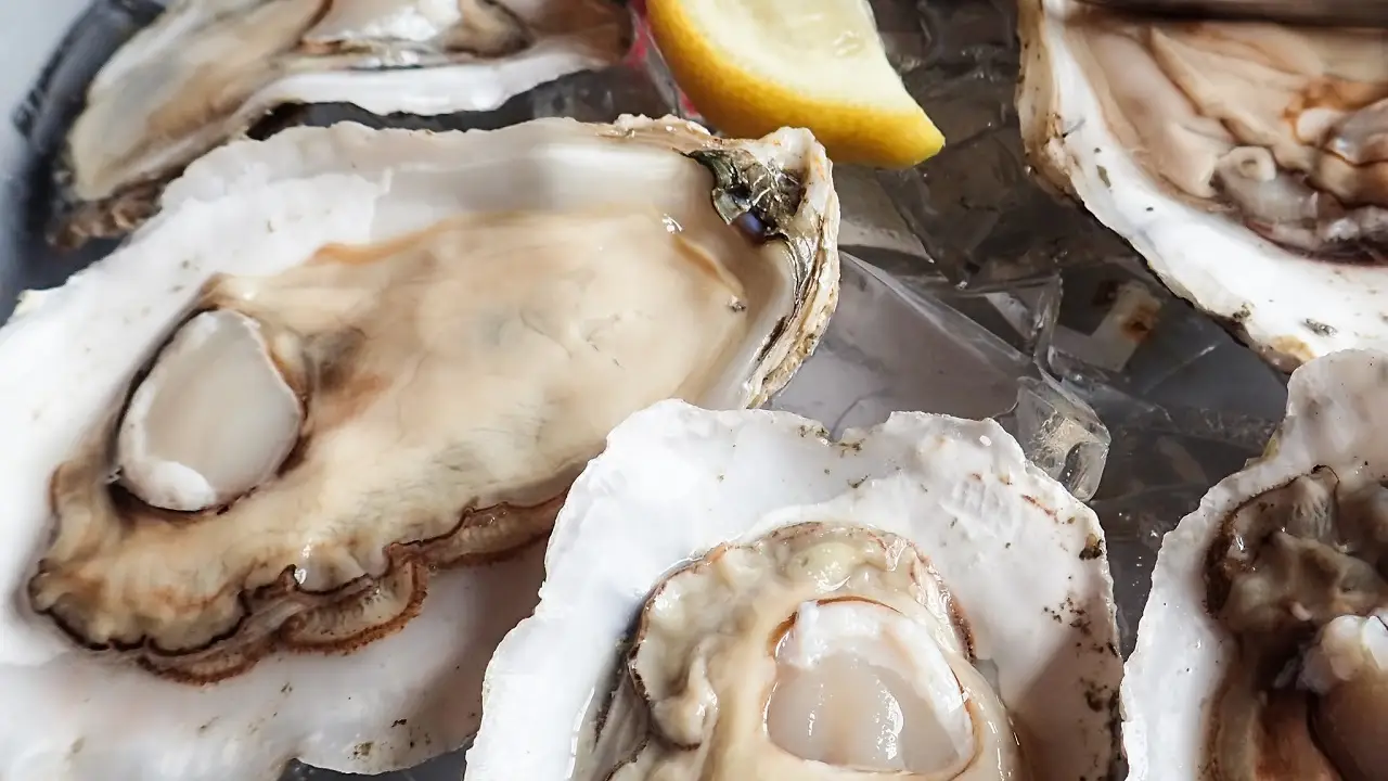 Fayette Street Oyster House & Grille, Conshohocken, PA