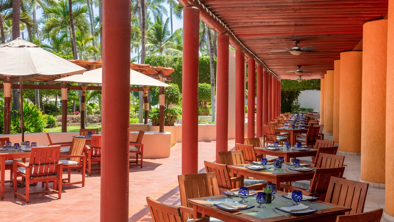 Palmar, Puerto Vallarta, JAL