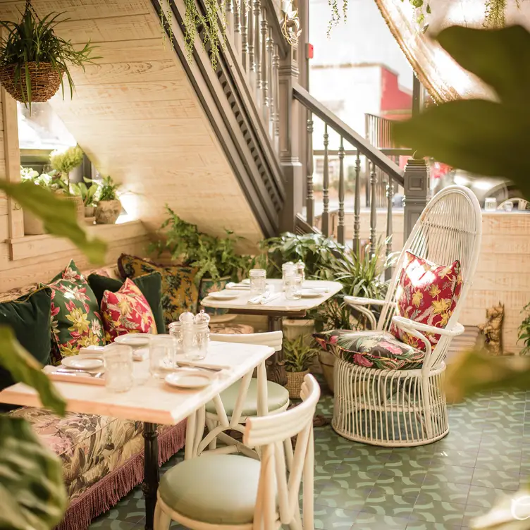 Solarium - White Dog Cafe - University City, Philadelphia, PA