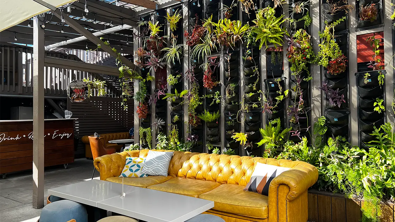 The Yellow Couch at the patio - WorkPlay Hawaii, Honolulu, HI