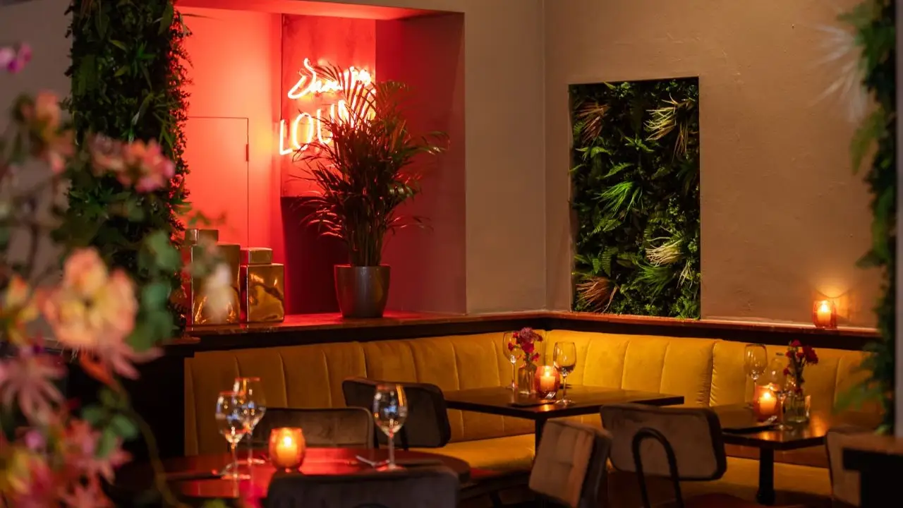 Dante Kitchen & Bar, Amsterdam, Noord-Holland
