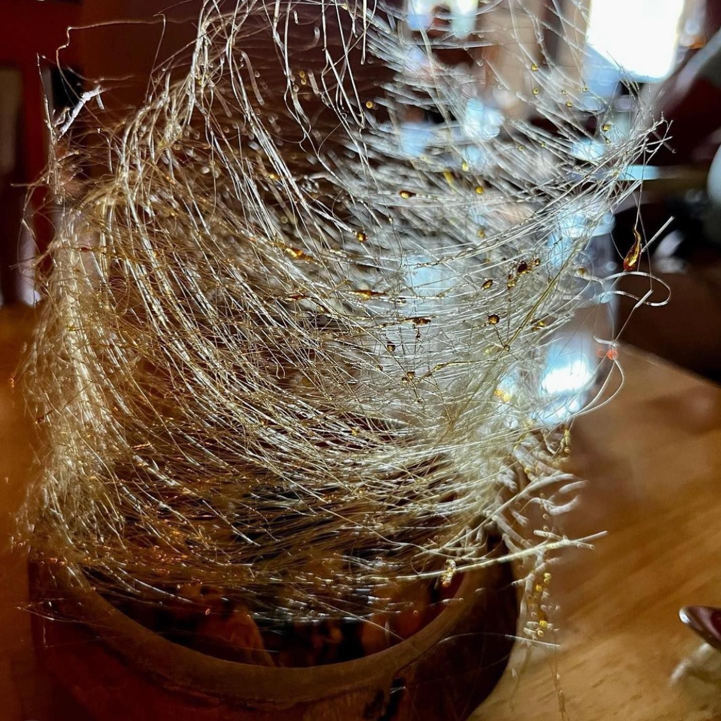 Llama Restaurant | United States | Venue Report