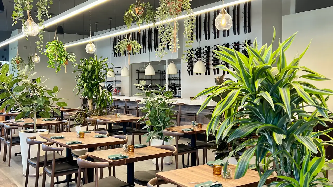 Beautiful Dining Room - Marlou Koreatown, Los Angeles, CA