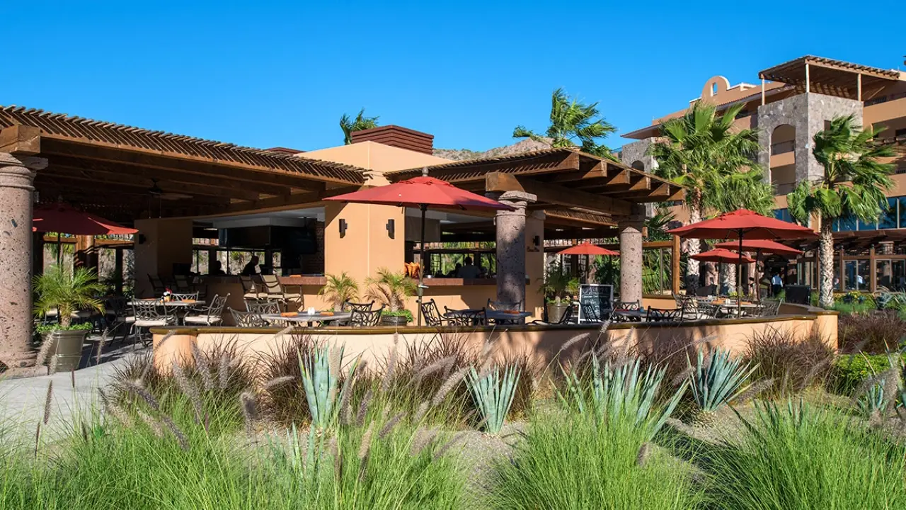 Casa Mia Restaurant, Ensenada Blanca, BCS