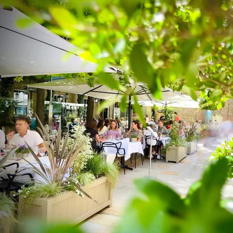 Manicomio Chelsea Restaurant London OpenTable