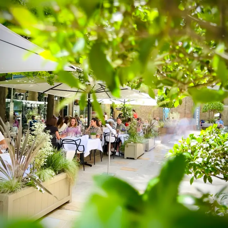 Manicomio Chelsea Restaurant London OpenTable