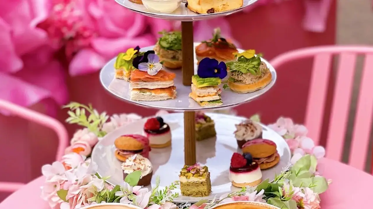 Afternoon Tea at EL&N Edinburgh, Edinburgh, Edinburgh