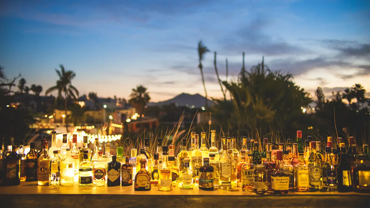 Dalton Gin Bar，BCSSan José del Cabo
