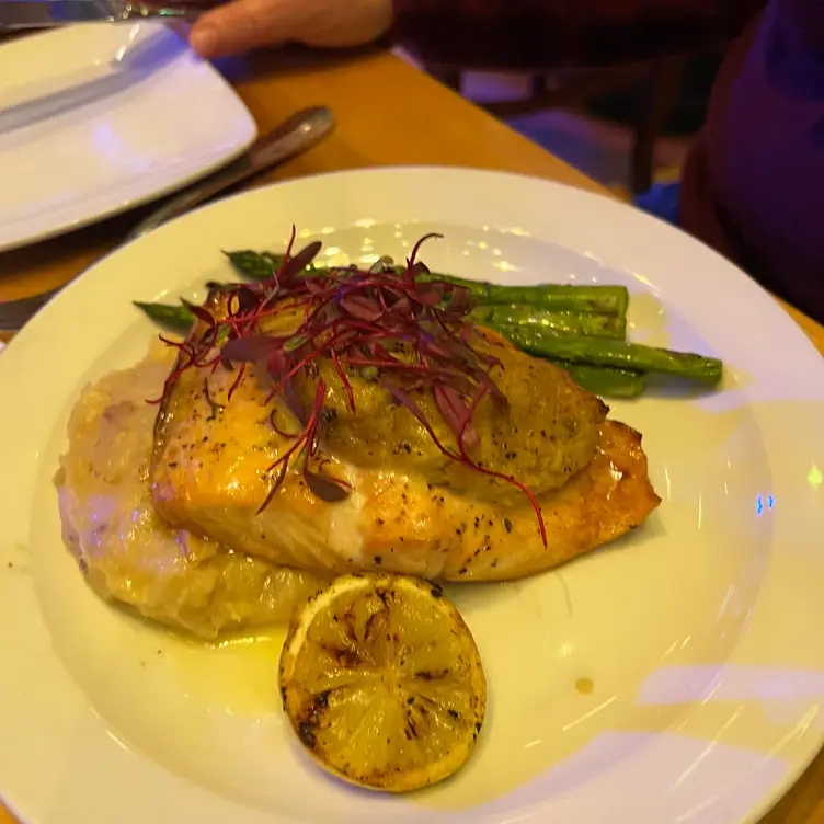 Oyster, Wilkes-Barre, PA