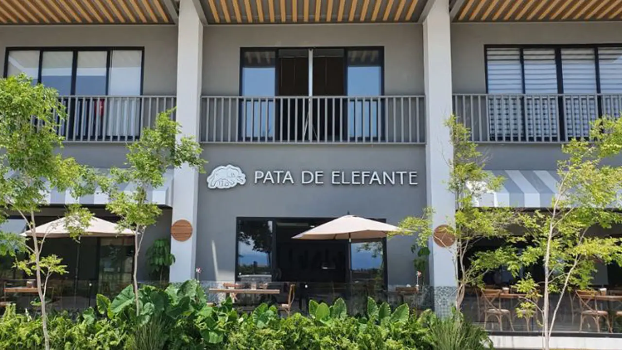Pata de Elefante - Vallarta, Nuevo Vallarta, NAY