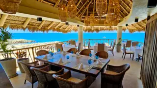 Una foto del restaurante Amixtli Restaurant - Xalli Club