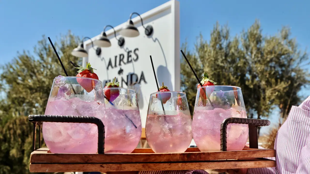 Entrada a nuestro jardín y campo de lavanda - Aires de Lavanda, Ensenada, BCN