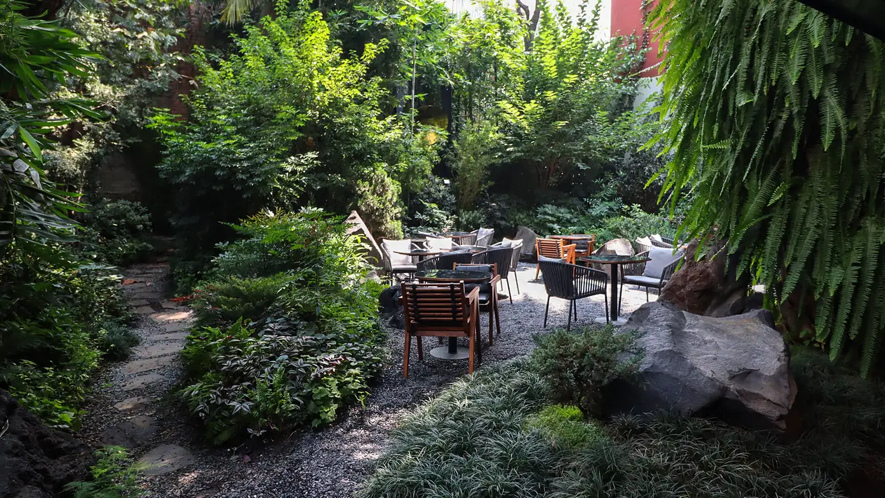 Umai, Ciudad de México, CDMX