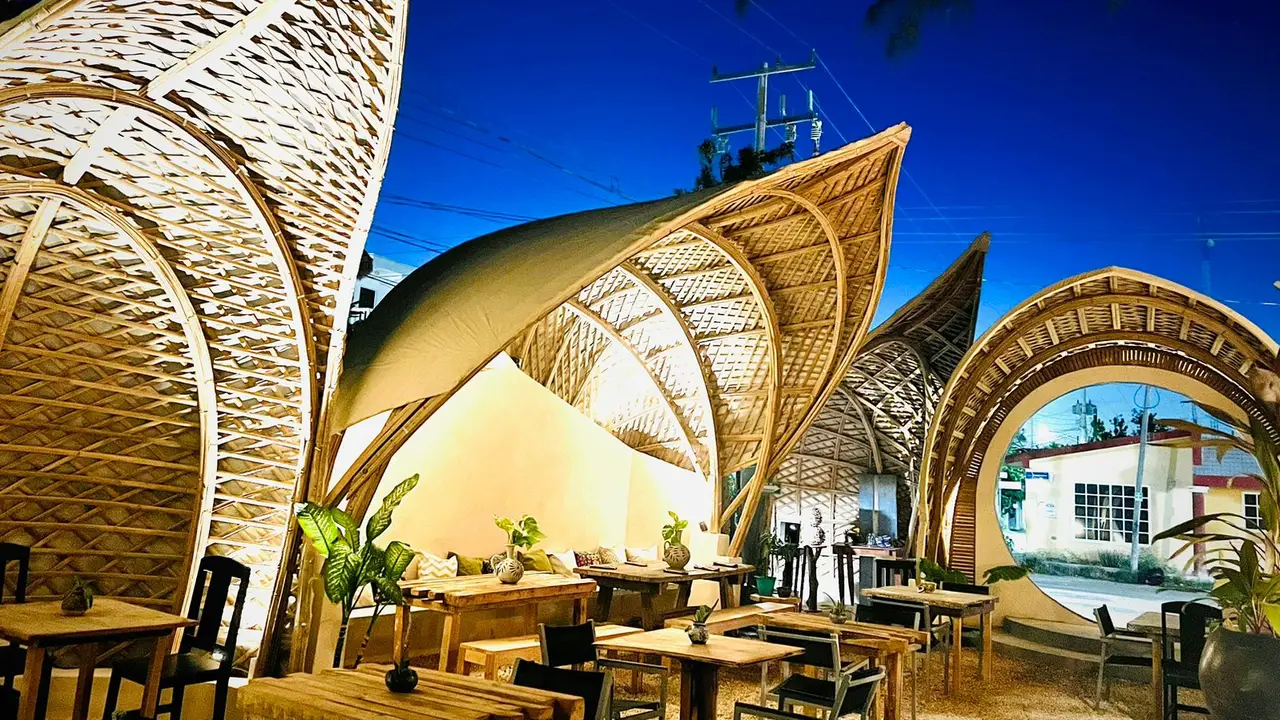 MILPA HOLBOX, Holbox, ROO