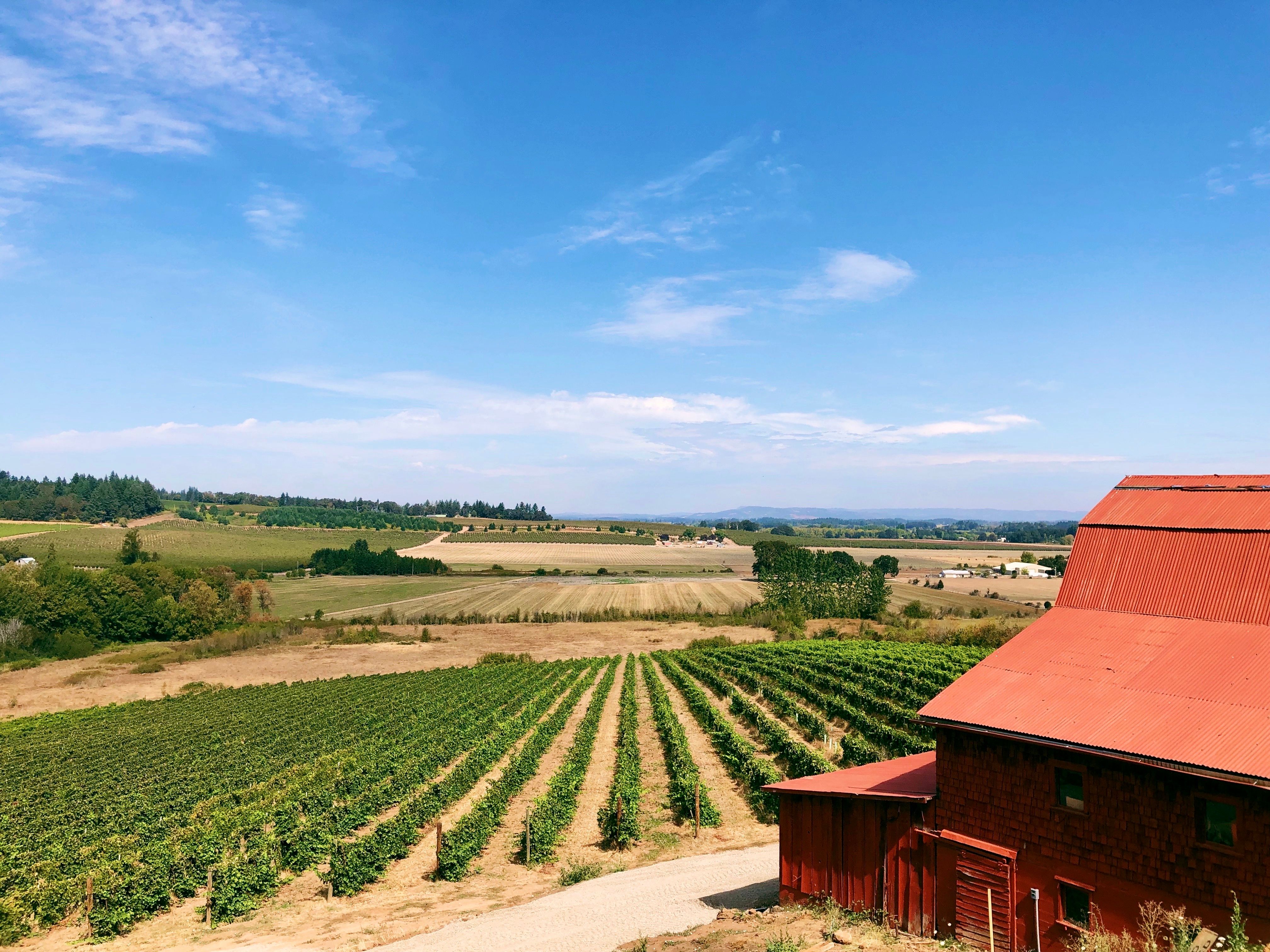 Rizzo Winery | Virginia, United States | Venue Report