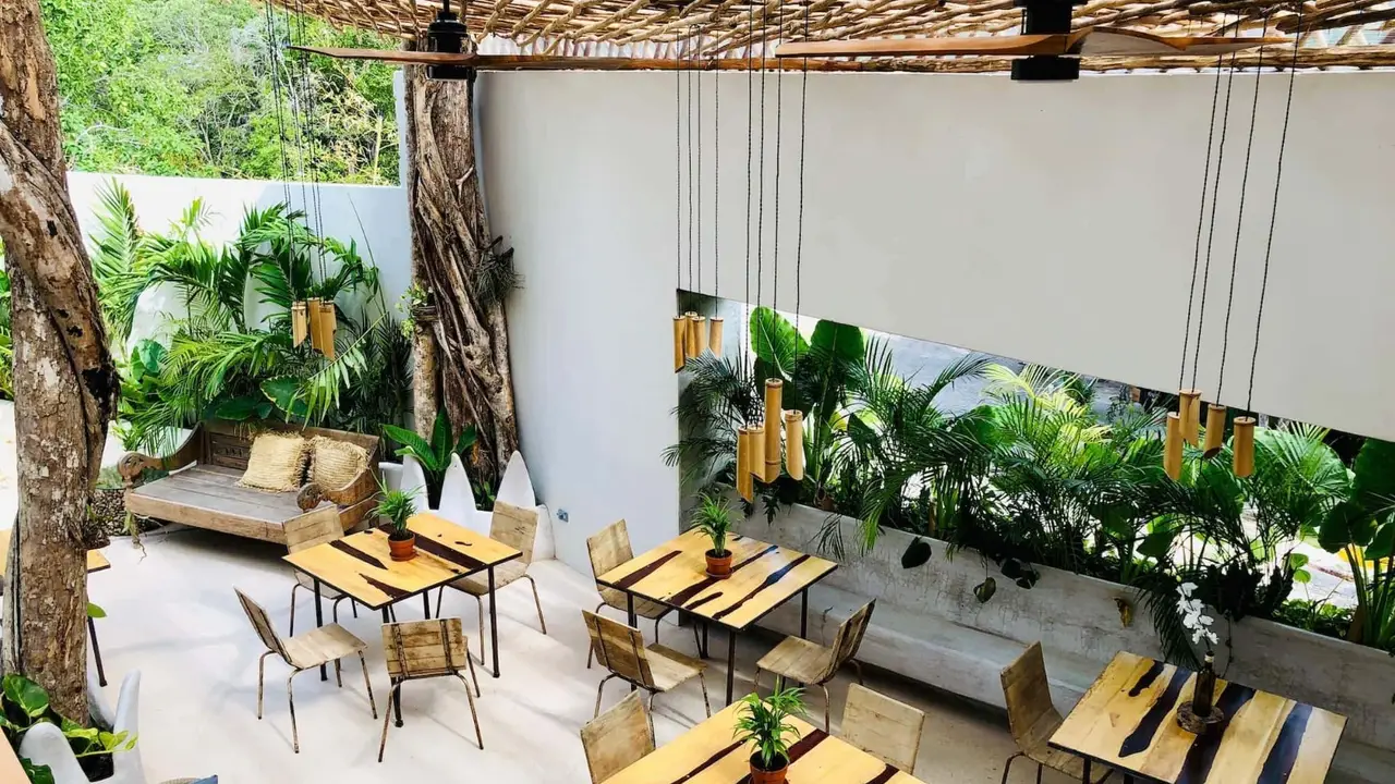 Orquidea，ROOTulum
