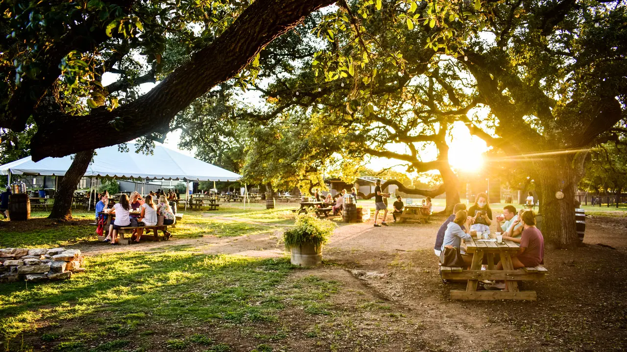 Alice's Restaurant at Treaty Oak Distilling, Dripping Springs, TX