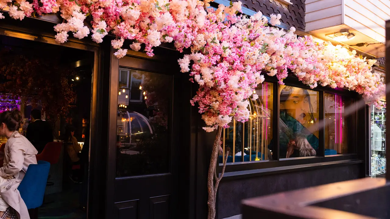 Cherry Blossom Treet Entrance - Blossoms Cocktail Bar and Restaurant, Brighton, Brighton and Hove