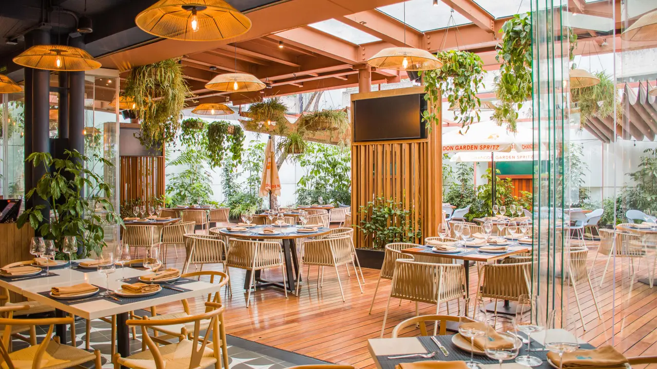 Bismarkcito Polanco, Ciudad de México, CDMX