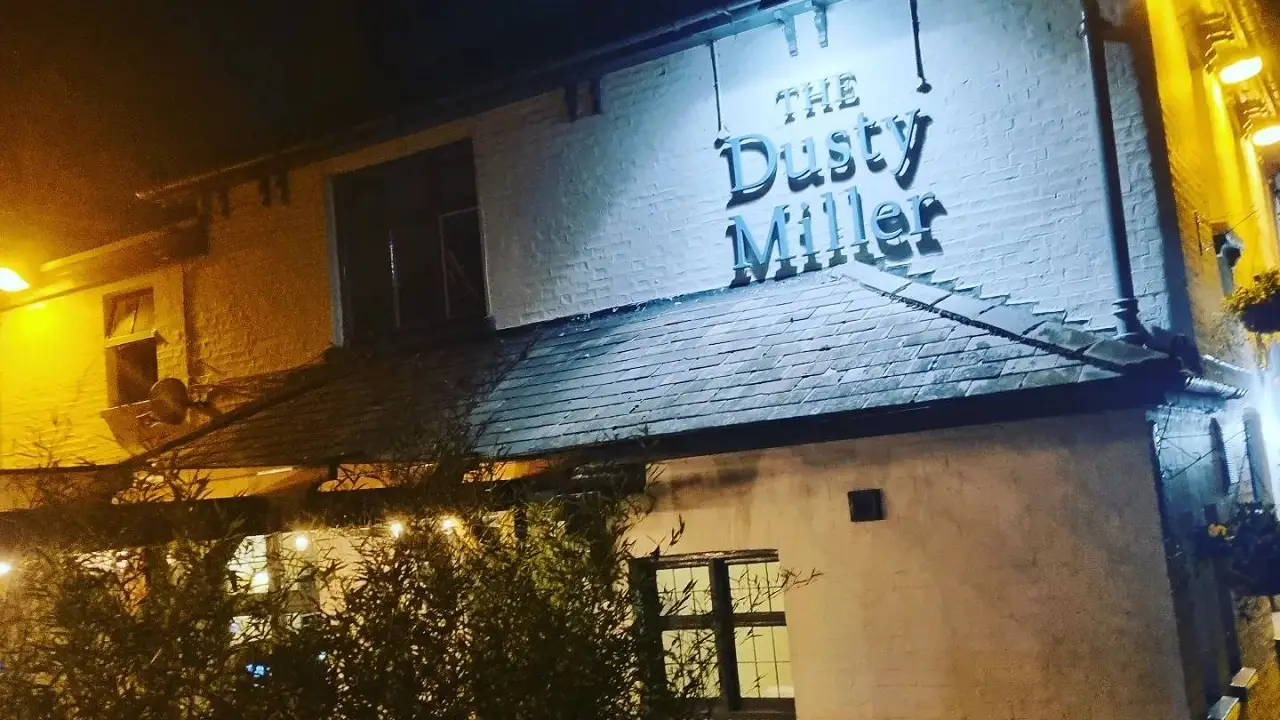 Dusty Miller, Harlow, Essex