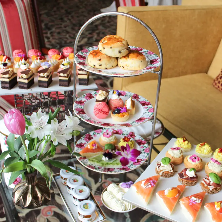 Afternoon Tea LIVING｜テディベア/KUNIKA | Rakuten Fashion