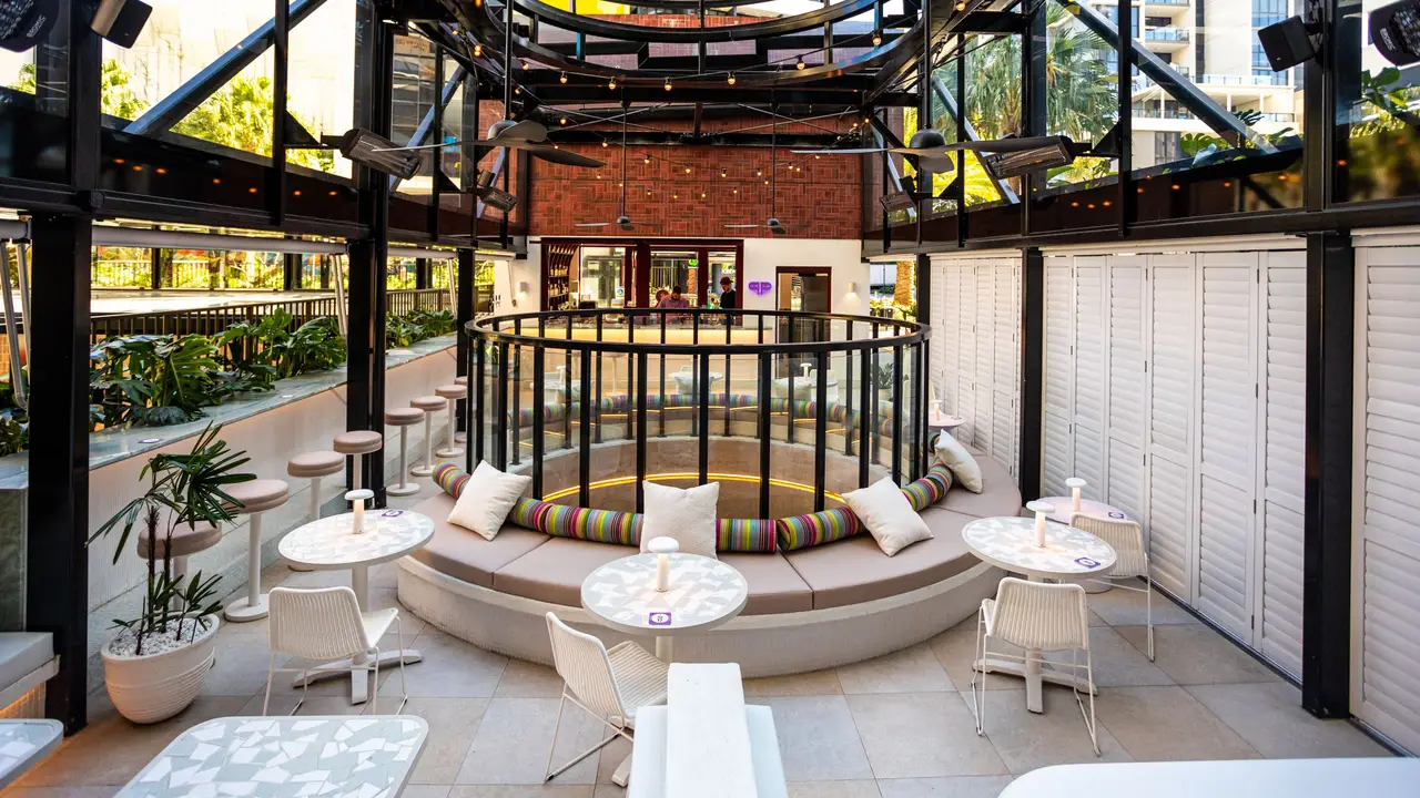 Purple Palm, Woolloongabba, AU-QLD