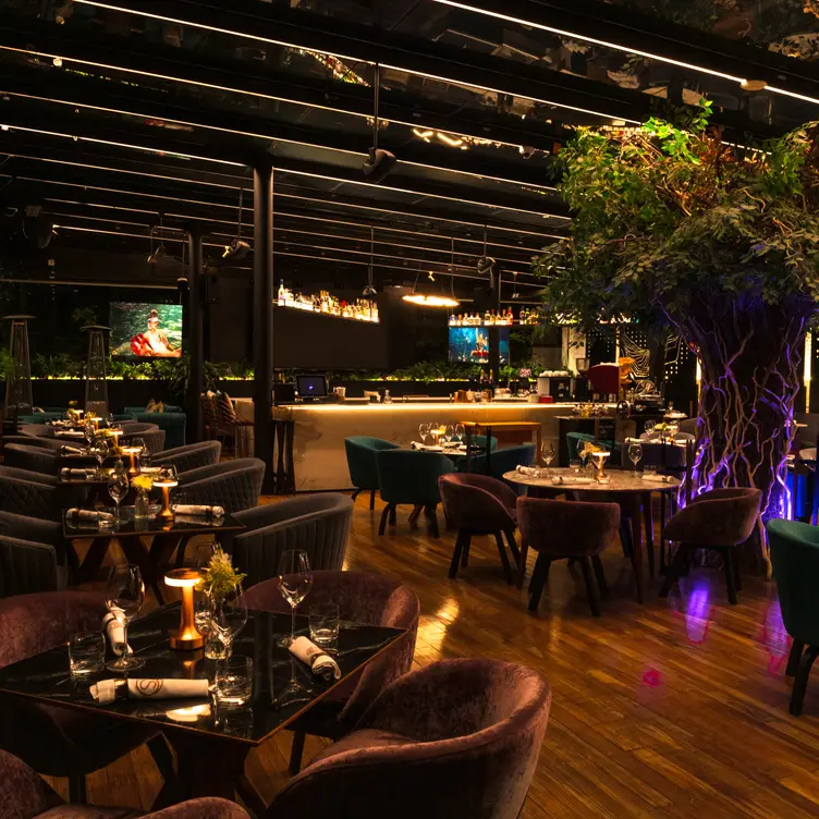 Mejores Restaurantes Restaurante Bota Vino Sevilla Restaurant La Bota