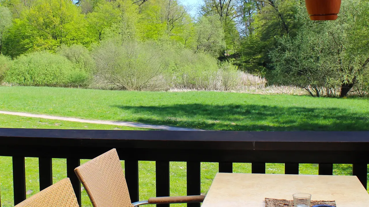 Blick von unserer Terrasse - le faisan, Neustrelitz, MV