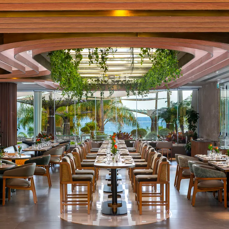 Kalypso, Limassol, 