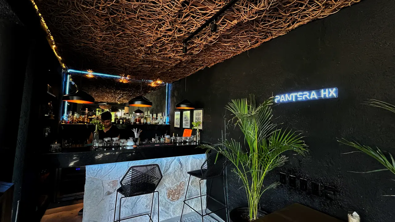 Pantera HX, Holbox, ROO