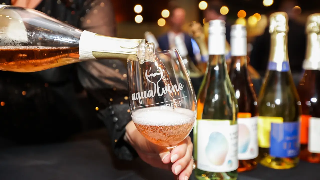 Aqua Vino wine tasting - sparkling rosé - Georgia Aquarium, Atlanta, GA